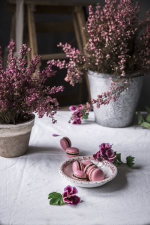 macaroons served on a plate