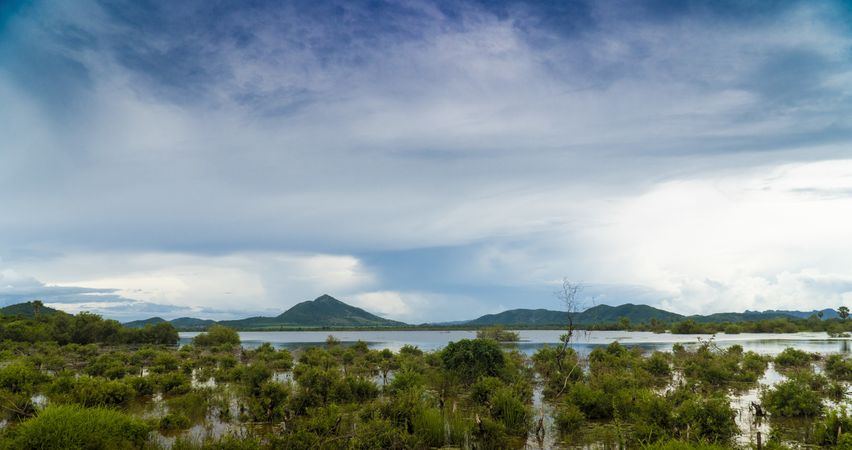 Panoramic view of tropical coastline with mountains