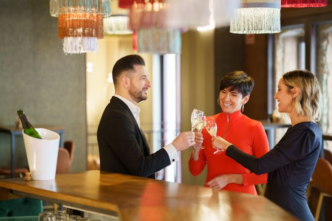 Group of people toasting with sparkling wine in bar