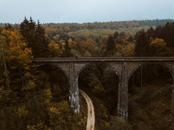 Green trees beside brown arch bridge in Thalfang,Rheinland-Pfalz,Germany