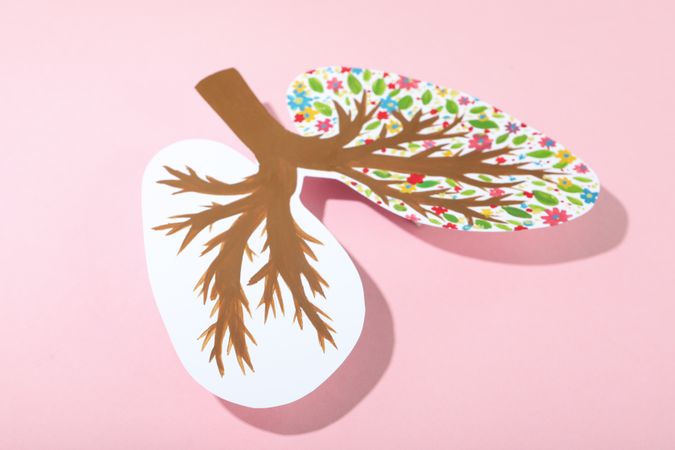 Lungs made out of paper with painted bronchi and flowers on pink background