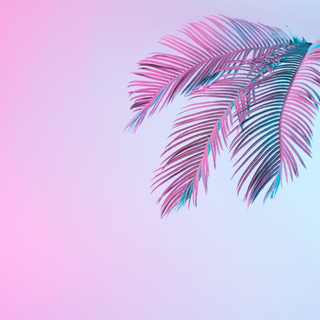 Tropical palm leaves in vibrant bold gradient blue and pink holographic neon colors