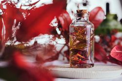 Bottle with fresh plant in liquid between foliage