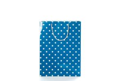 Color paper bag isolated on blank background