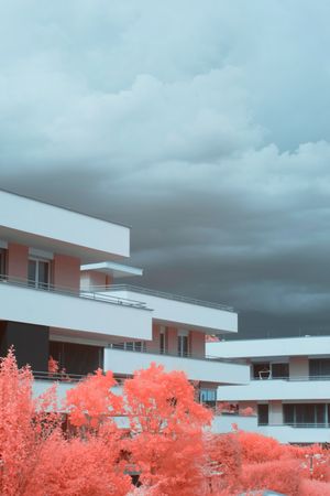 Infrared trees near suburban houses