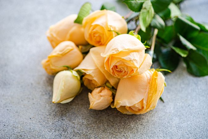 Bouquet of roses on concrete background