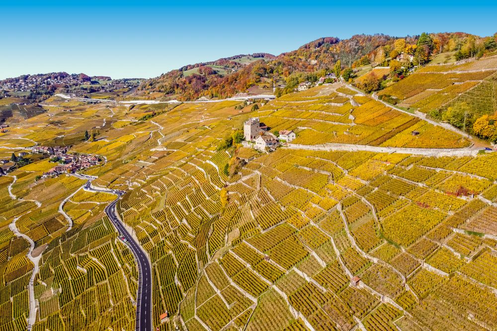 Aerial view of cultivated lands on mountain in Puidoux, Vaud, Switzerland