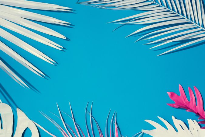 Tropical leaves on colorful bright blue background