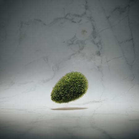 Moss egg on marble background