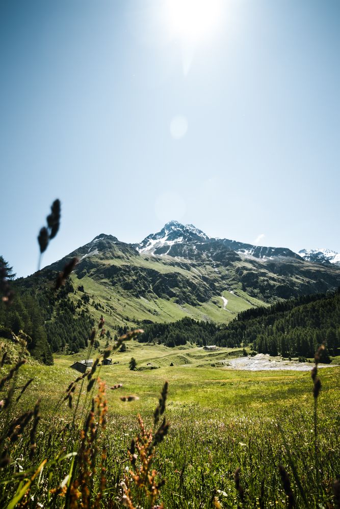 Green grass field near mountain