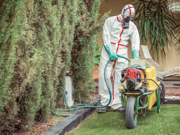 Fumigator pulling treatment hose from machine in yard