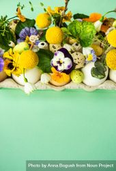 Easter holiday card concept with egg carton covered with bright flowers beX3zN