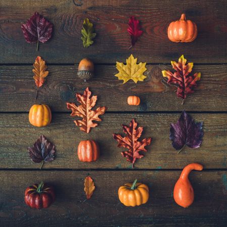 Creative autumn Halloween layout with various leaves and pumpkins in rows