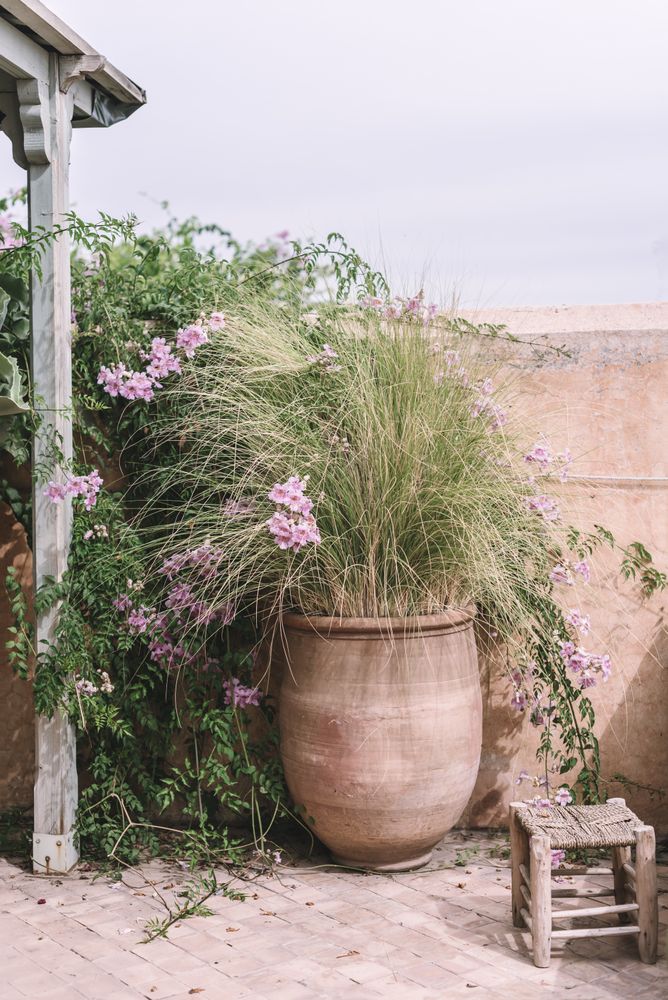 Plants and sofa on terrace