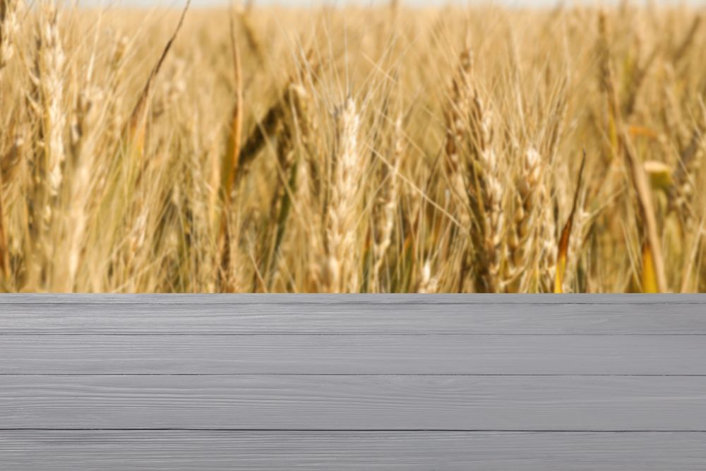 Wooden table with towel against field. Agriculture concept