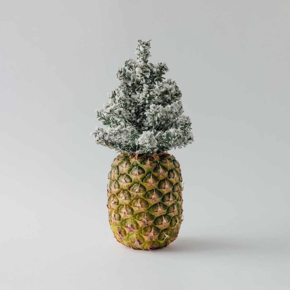 Pineapple and winter Christmas tree