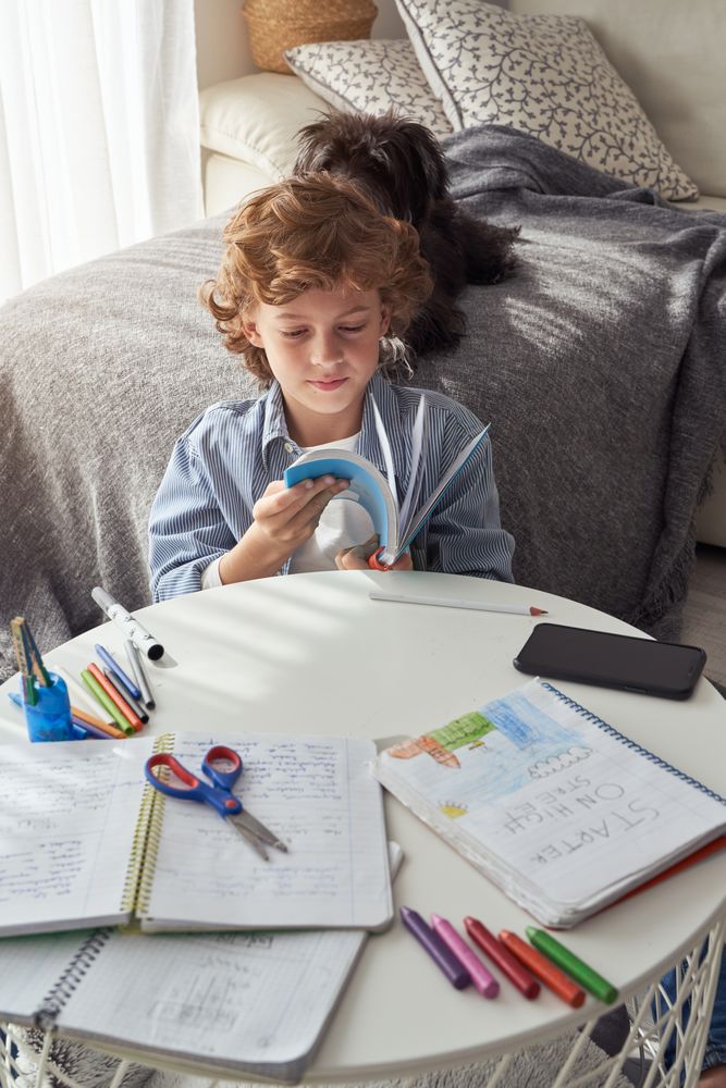 Little boy reading book at home