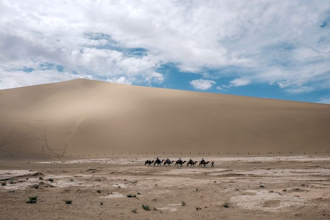 Caravan of camels in desert during daytime