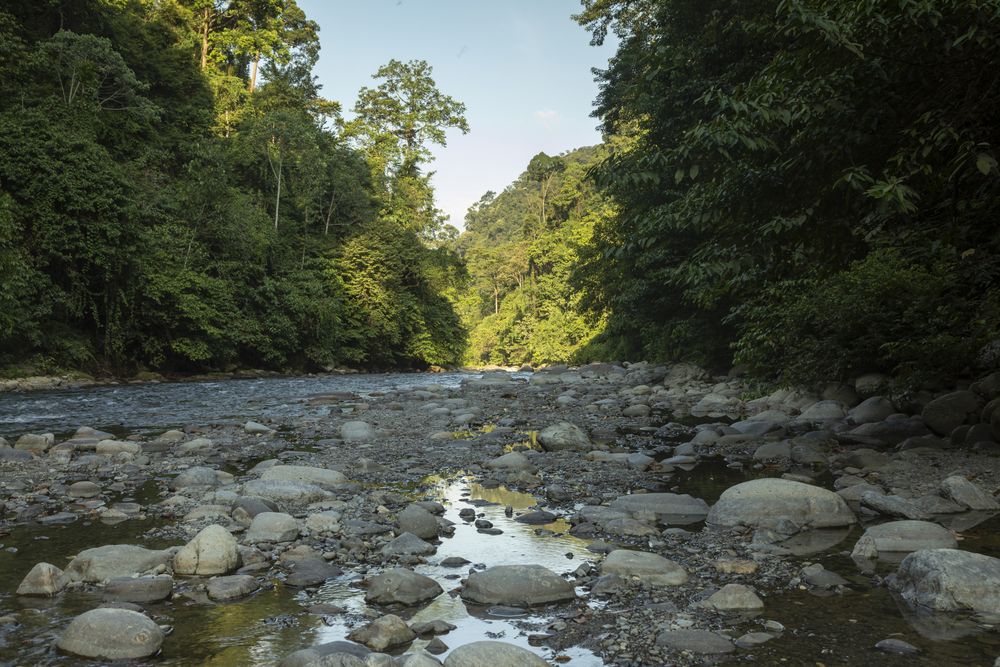 Fresh stream through the Bohorok River in Gunung Leuser National Park, North Sumatra, Indonesia