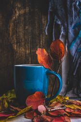 Side view of autumnal cup of coffee with coffee leaves