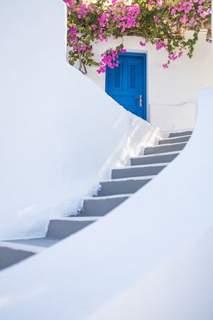 Stairs, blue door and pink flowers, vertical