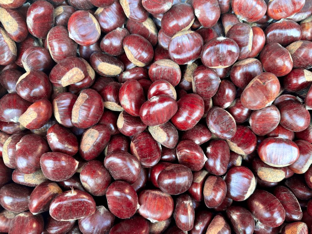 Chestnuts for sale in market
