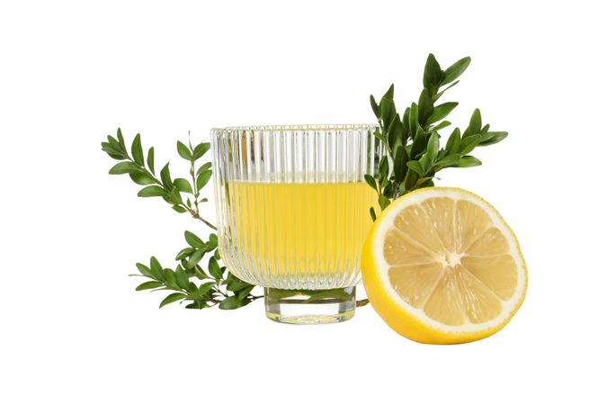 Half of lemon, branches and glass with limoncello, isolated on light background