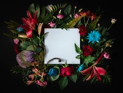 Colorful spring flowers of red, blue, pink, cream around paper square on dark background