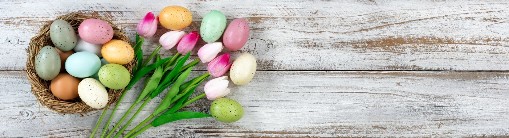 Easter eggs in nest with tulips on rustic wooden background