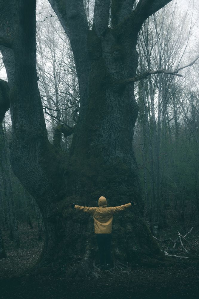 Traveller standing beside old tree covered by moss