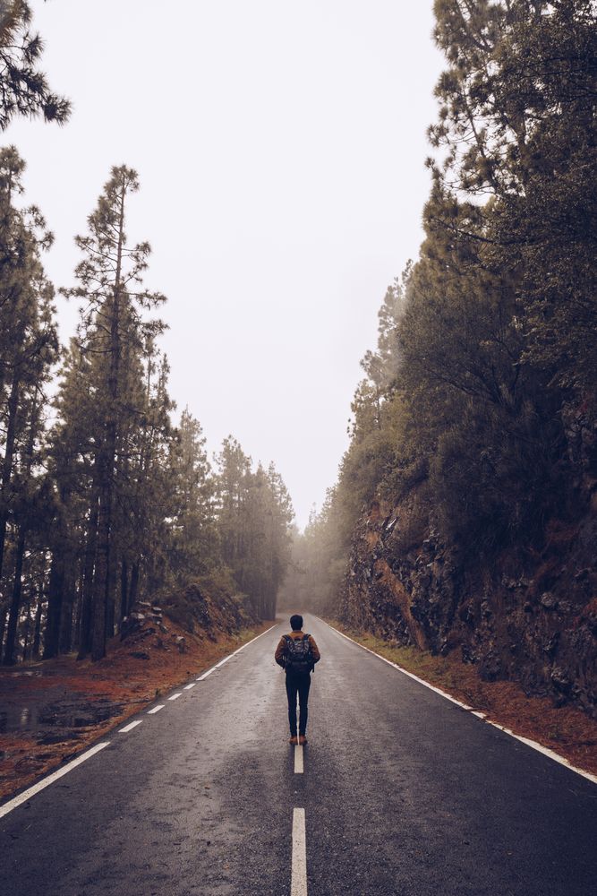 Traveler walking on empty road in woods