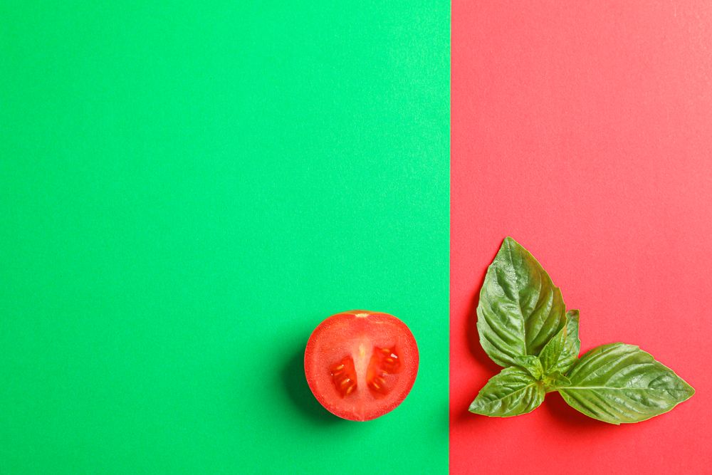 Fresh cherry tomato and basil on two tone background, space for text. Ripe vegetables