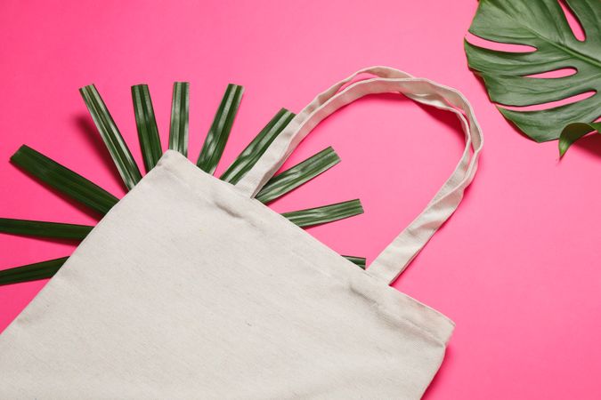 Eco bag and palm leaves on color background, copy space