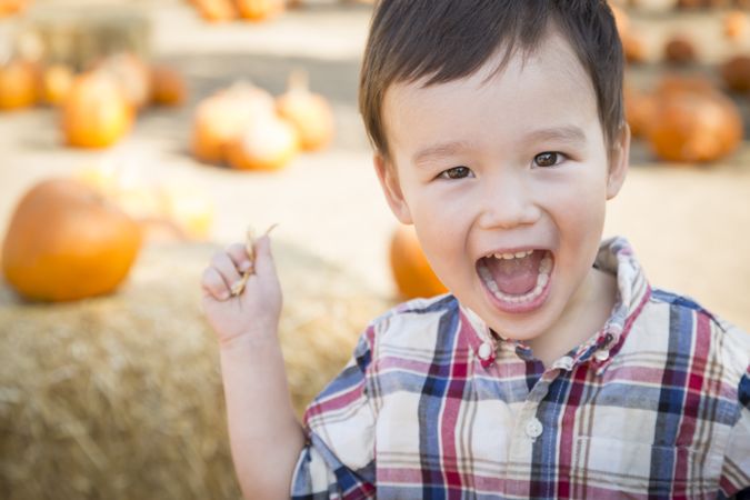 Joyful Biracial Boy Having Fun at the Pumpkin Patch