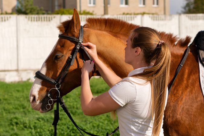 Woman attaching bridle to horse
