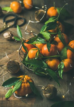 Freshly picked tangerines in wire bowl, with leaves on wooden table, with Christmas decorations