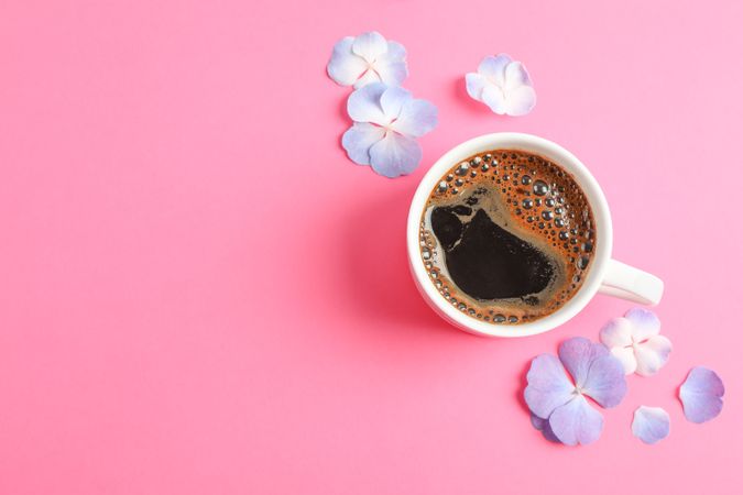 Cup of coffee with petals of flower on color background, space for text