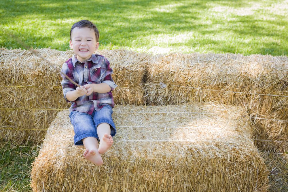 Cute Boy Having Fun on Hay Bale