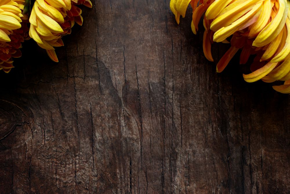 Autumn theme with florals. Flatlay. Text space.