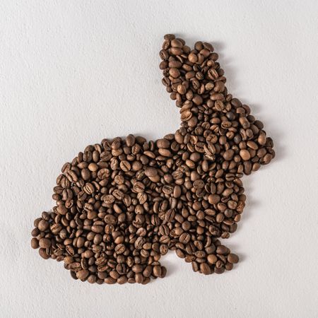 Coffee beans in bunny shape