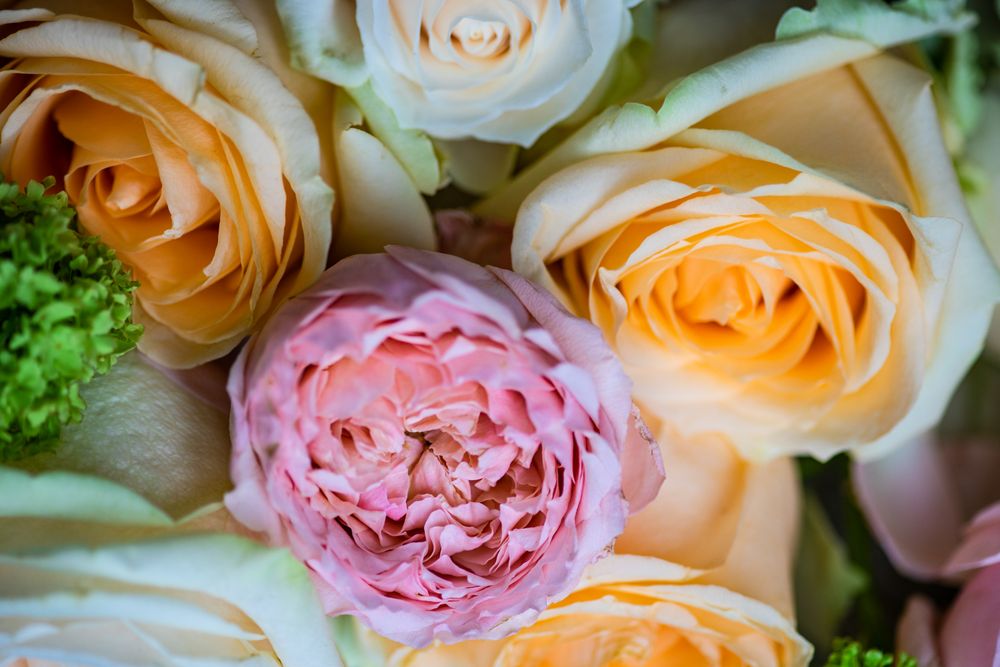 Close up of spring flowers