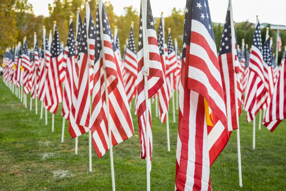 Field of Veterans Day American Flags Waving in the Breeze.