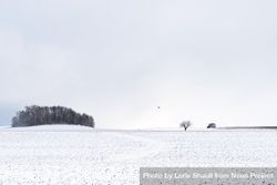 Snow covered field on an overcast winter day bDZ1r5