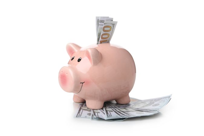 Piggy bank with dollars isolated on light background