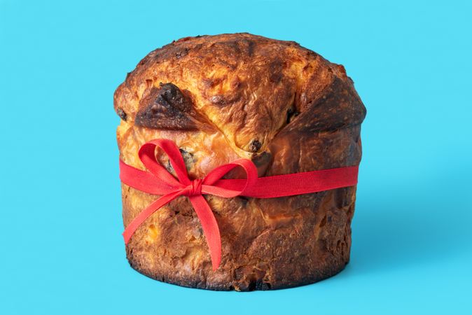 Homemade panettone isolated on a blue background