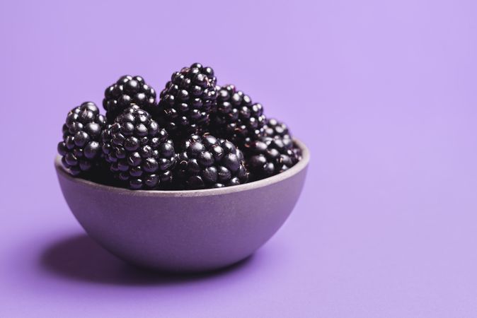 Blackberries in a bowl on purple background