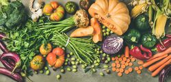 Fresh produce on concrete background, with halved squash, corn, cabbage, wide composition