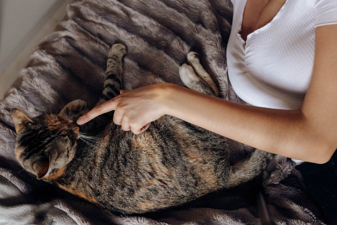 Young woman stroking cat on bed