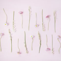 Lily of the valley flowers and daisies in delicate rows over pastel powder pink, square crop