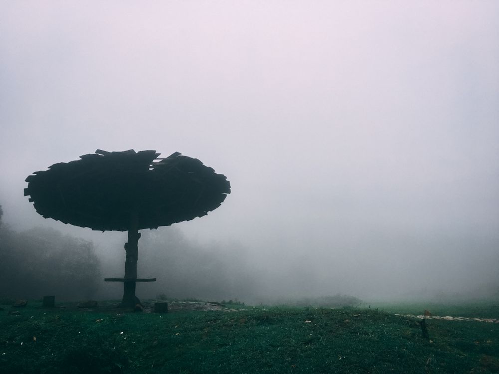 Early morning fog